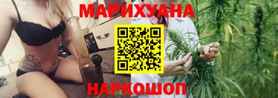 шишки Аргун