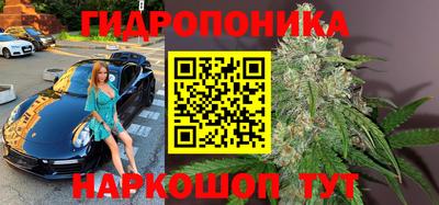 шишки Аргун