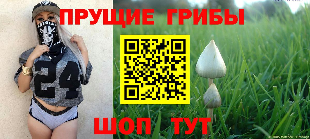 Псилоцибиновые грибы Psilocybine cubensis  Галлюциногенные грибы мухоморы  Воскресенск  Вход с VPN 